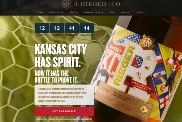 Case Study: Microsite